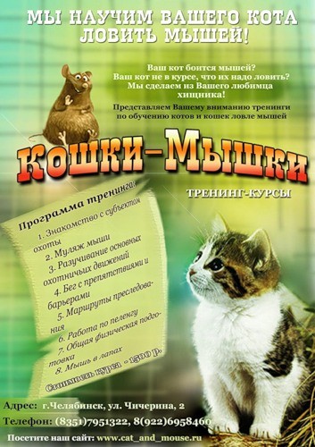 Дизайн и верстка: Макеты для журналов
